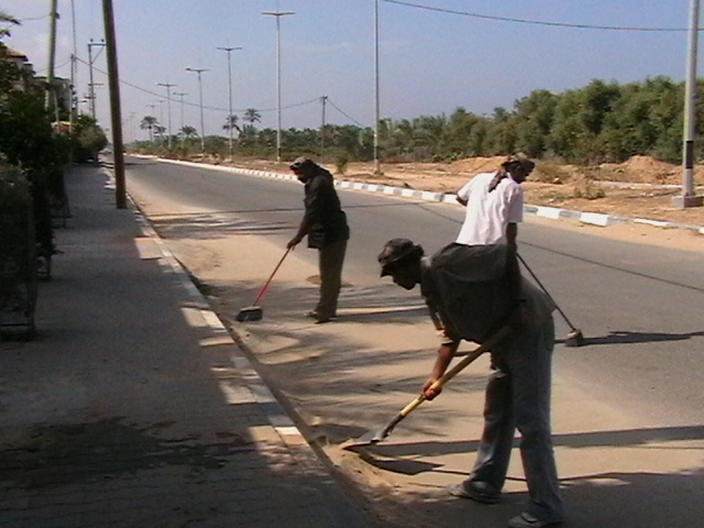 بلدية الزهراء تواصل أنشطتها من أجل تحسين خدمة النظافة في إطار حملة المئة يوم .